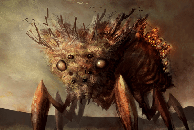 cedric-lambrichts-desertfluffyspider