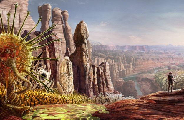 jasperHolland-pods_in_the_canyon_crop