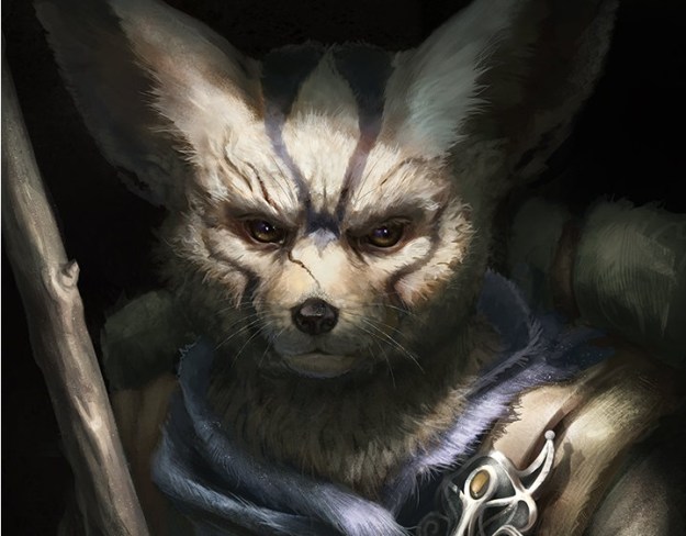 suzanneHelimghWeb_Fennek_crop